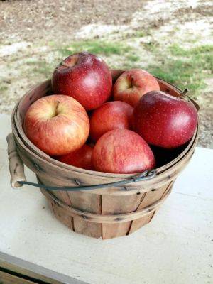 South Carolina Apples