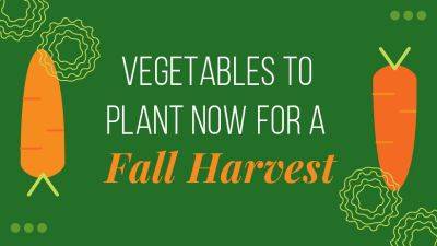Plant These Vegetables Now for a Fall Harvest