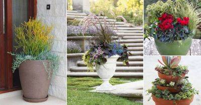 25 Container Gardening Arrangements For Lazy, Forgetful & Busy Gardeners