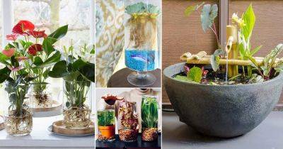 25 Great DIY Indoor Water Garden Ideas