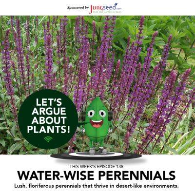 Episode 138: Water-Wise Perennials
