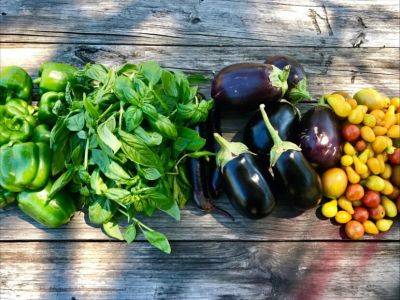 The Benefits of Seasonal Eating: Fresh, Nutrient-Dense, and Budget-Friendly