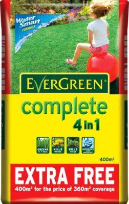 Common Lawn Weeds and Treatment