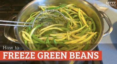 How to Freeze Green Beans from the Garden
