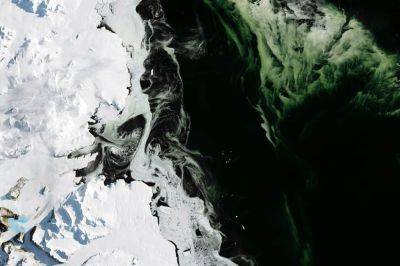 Turkey will take Antarctic algae to space