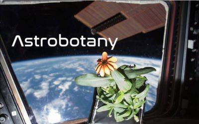 NASA Selects 7 New Space Plant Studies