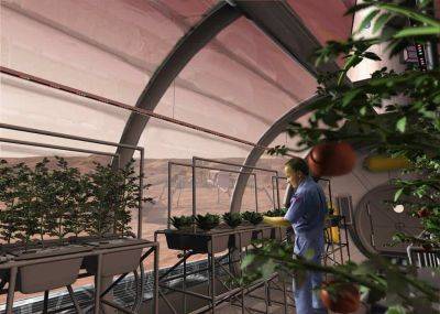 Alfalfa may be the first crop to grow on Mars