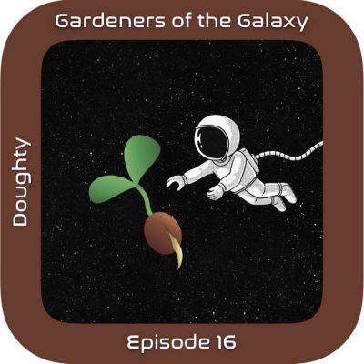 Transplanting seedlings in space: GotG16