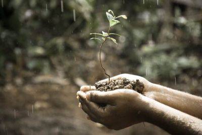 Here’s why soil smells so good after it rains