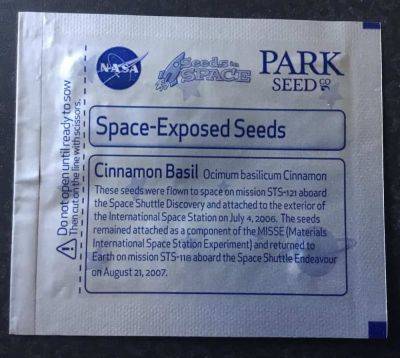 Space-flown basil and tomato seeds