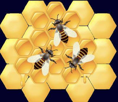 The Hive: no. 3
