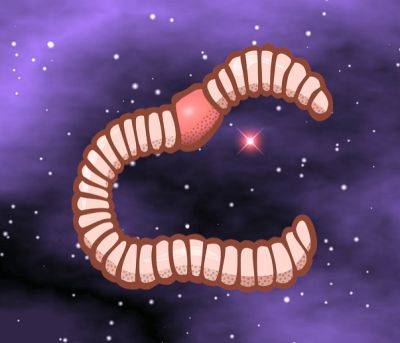 Space worms