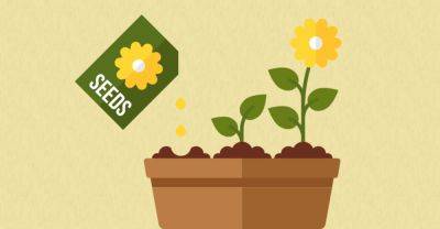 Eco Garden: Seed Saving