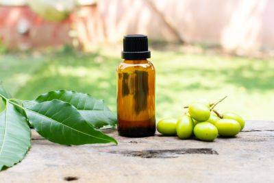 How To Use Neem Oil On Plants