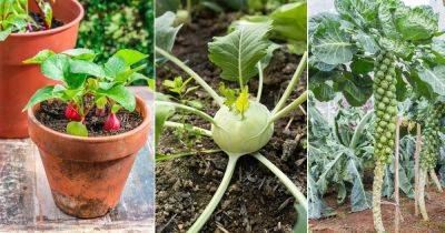 18 Man Made Vegetables You Never Knew About!