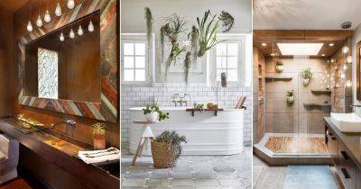 21 Air Plants in Bathroom Ideas that You Must Copy