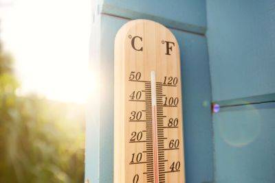 Do's and Don’ts for Gardening in a Heat Wave