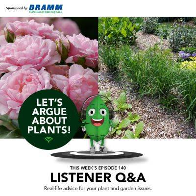 Episode 140: Listener Q & A