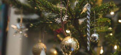 The Ultimate Christmas Tree Decoration Guide - Fantastic Gardeners