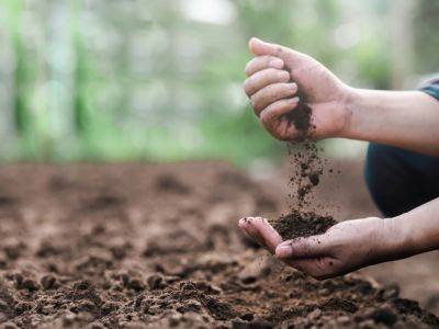Soil Conservation: How To Protect The Soil For Better Plants