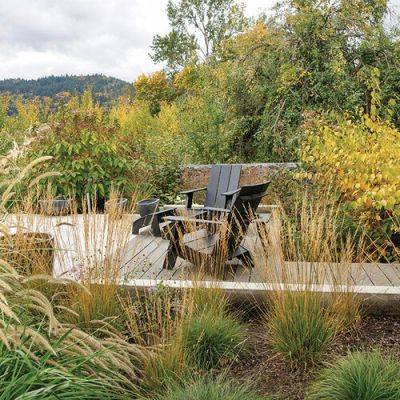 Planting Plan for a Landscape with Challenging Conditions