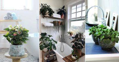 12 Rainforest Plants to Grow in Bathroom