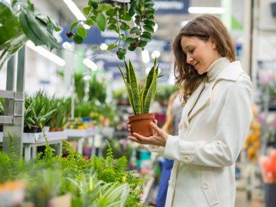 Why Impulse Buying A Plant Is A Terrible Idea