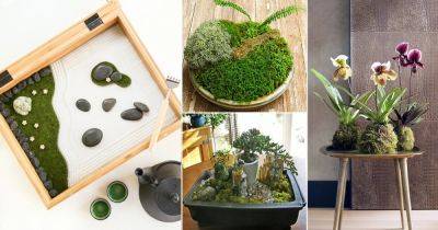 15 Awesome Indoor Garden Ideas to Steal from Japan