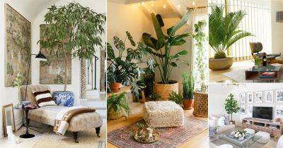 21 Tall Plants for Living Room Corner Ideas