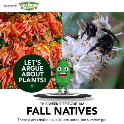 Episode 142: Fall Natives