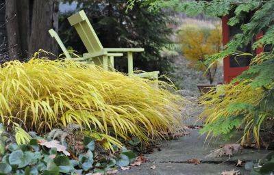 high-impact obsessions: using gold and variegated foliage, with ken druse