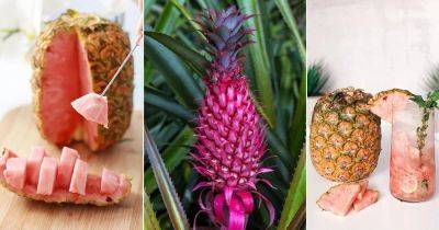 What is Pink Pineapple and How to Grow It