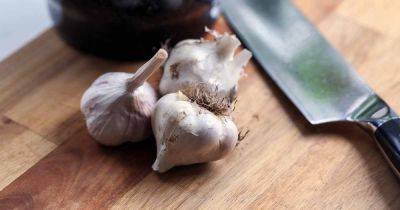 How to Grow ‘Polish Hardneck’ Garlic