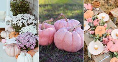 7 Best Pink Pumpkin Varieties | Pink Pumpkin Meaning and Uses