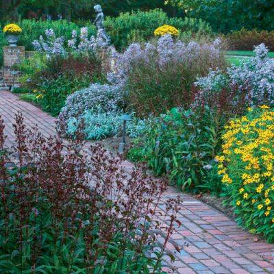 Native Plants with Show-Stopping Autumn Color