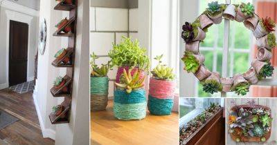 45 Unique DIY Succulent Planter Ideas for 2024