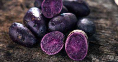 13 of the Best Purple and Blue Potato Varieties