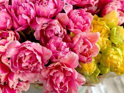 It May Be Winter, But You Can Still Get Your Peony Fix at Trader Joe's