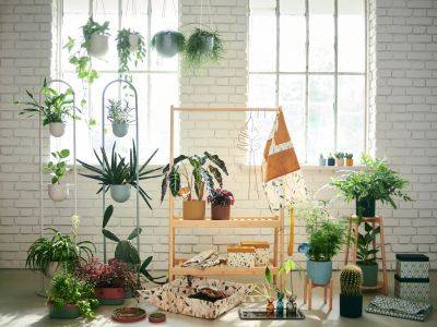 Bring Greenery to Small Spaces and Beyond with IKEA's new Collection