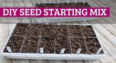 DIY Seed Starting Mix: Recipes and How-to