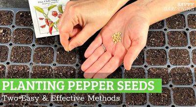 Planting Pepper Seeds: Two Easy and Effective Methods