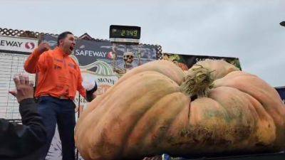 World Biggest Pumpkin Records, Country, State, Province