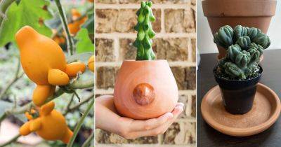 9 Plants That Look Like Boobs and Breasts