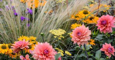 60 Types of Flowers for Every Garden