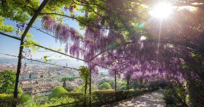 Gardens to visit in Italy