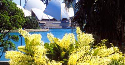 Gardens to visit in New South Wales and Queensland, Australia