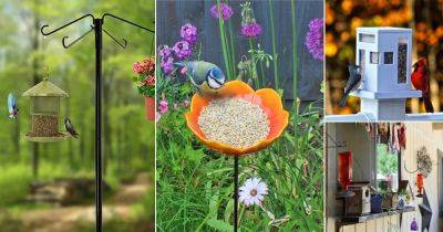 14 Ideas to Hang a Bird Feeder Without a Tree