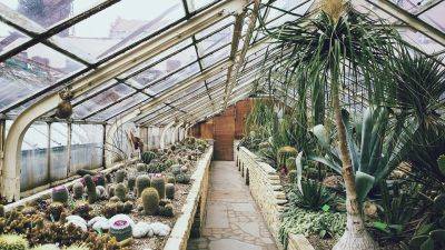Tips for Cleaning Your Greenhouse