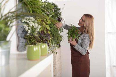 3 Simple Tips for Creating Your Own Trendy Living Plant Wall