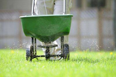 The Best Time To Fertilize Your Lawn, According To An Expert